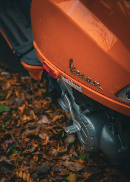 Untitled (Autumn) – Unframed Matte Photography Print