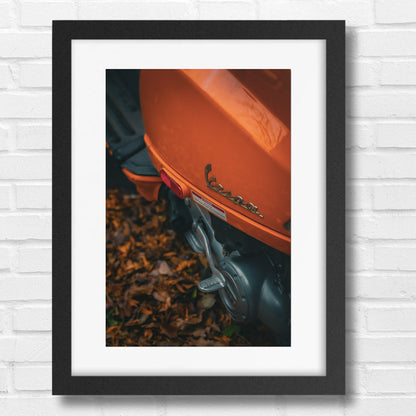 Untitled (Autumn) – Unframed Matte Photography Print