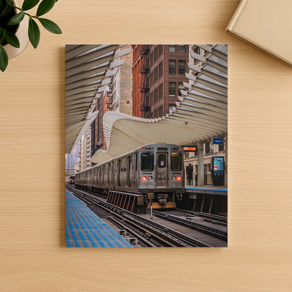 Under Their Cover – Unframed Matte Photography Print