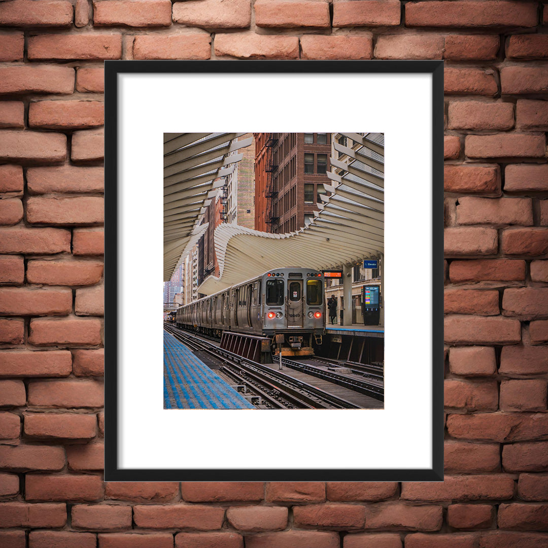 Under Their Cover – Unframed Matte Photography Print