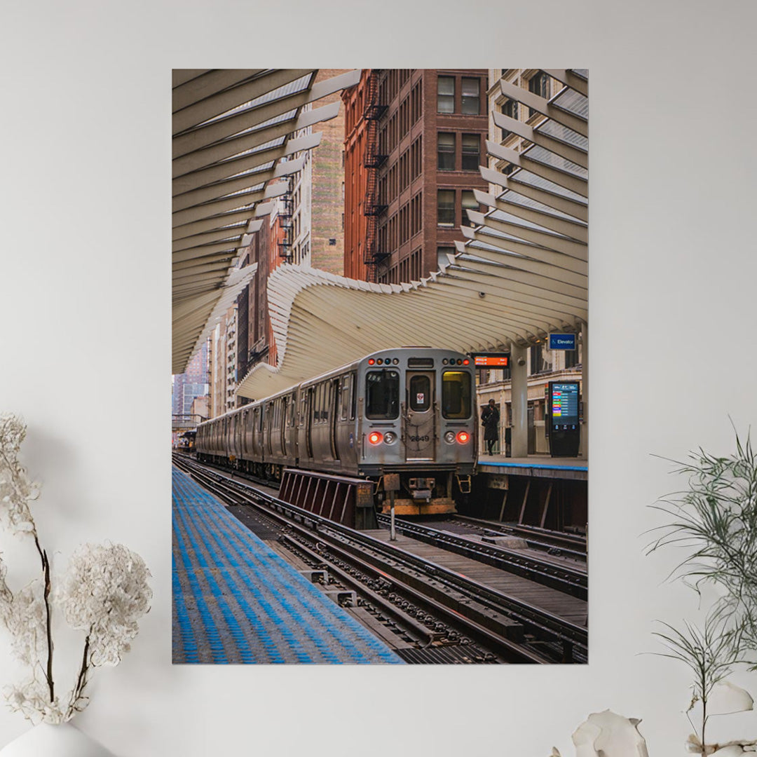 Under Their Cover – Unframed Matte Photography Print