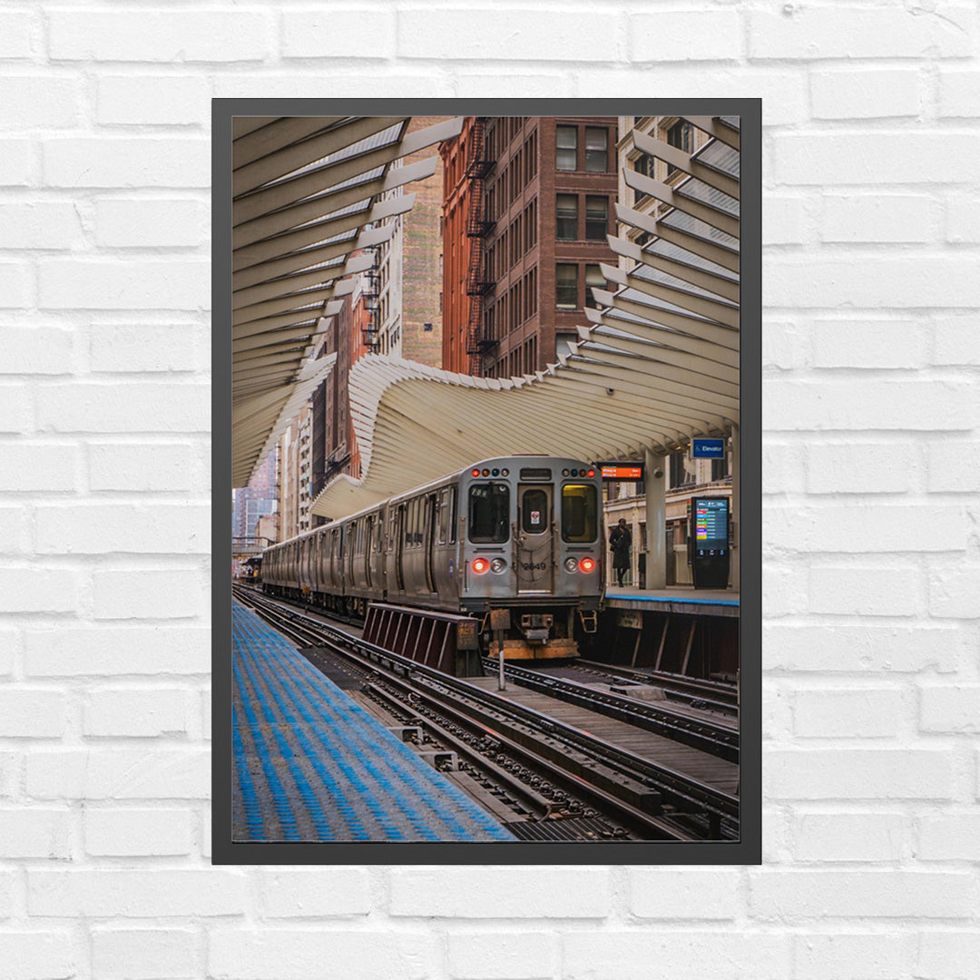 Under Their Cover – Unframed Matte Photography Print